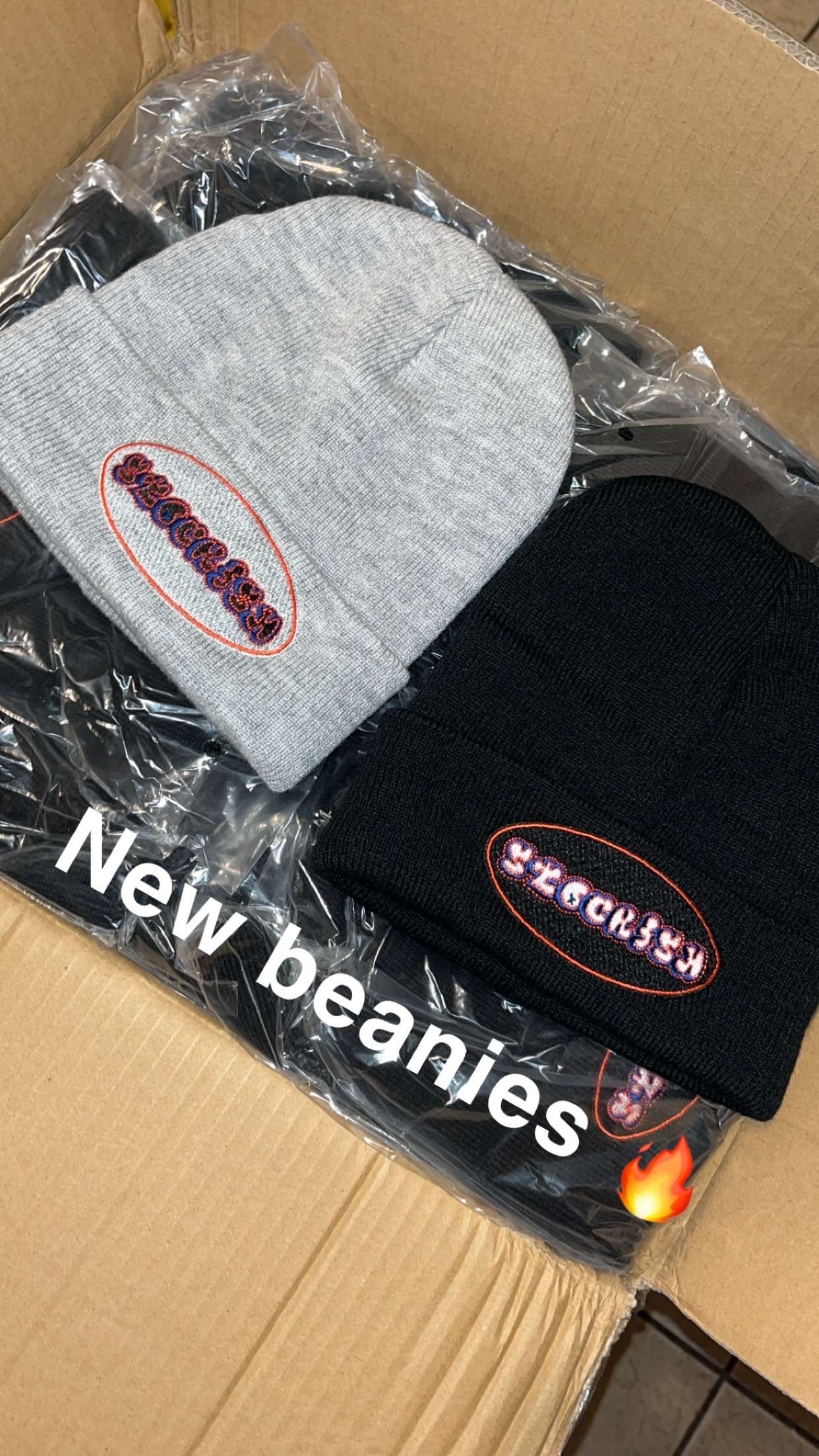Stockish Beanie